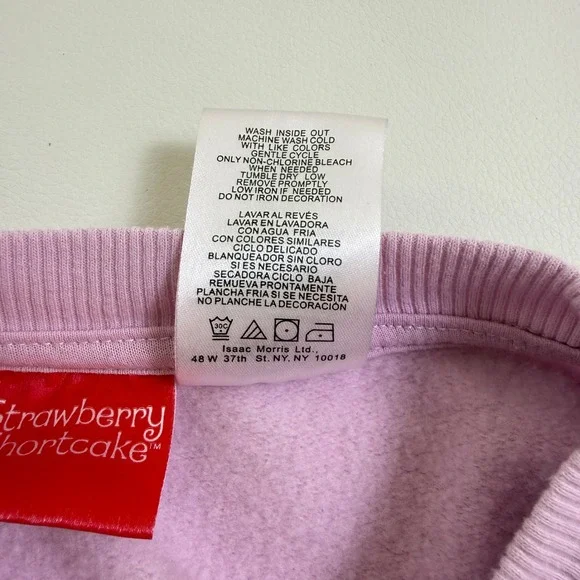Strawberry Shortcake Graphic Sweatshirt Womens XXL Pink Nostalgia Kidcore - Picture 6 of 7